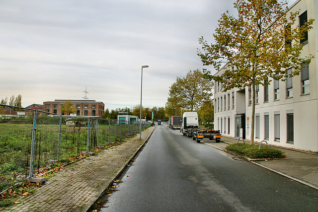 Zechenstraße (Gelsenkirchen-Rotthausen) / 2.11.2019