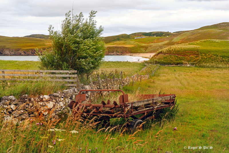 Beach Path and Rust,