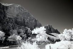 Zion