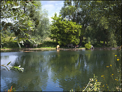 Pause fraicheur Pause fraicheur