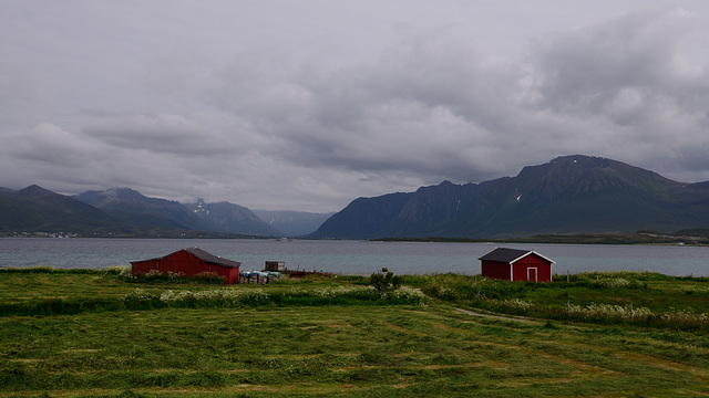 Lofoten - Langoya