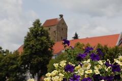 Cham - Blumenschmuck vor dem Straubinger Turm