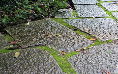 Stone path