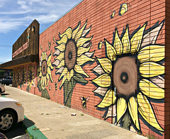 Flowers on the wall