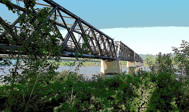 Fraser River in Quesnel.