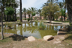 Pond In El Palmeral