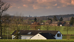 West View