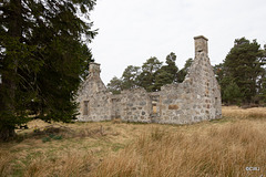 The ruins of the old croft at Dusach (NH 99595 45965)