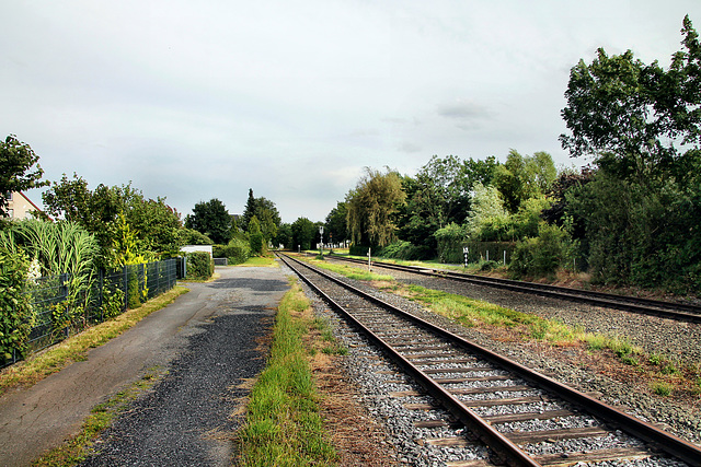 RLE-Bahnstrecke Hamm–Lippborg (Hamm) / 6.07.2024