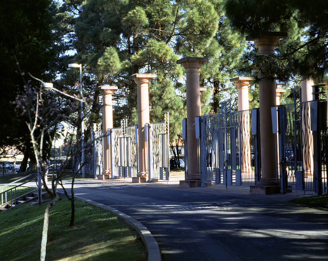 Sanctified Entrance