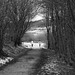 B/W red filter = White Jackets on Longdendale Trail