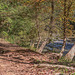 Trail along the River