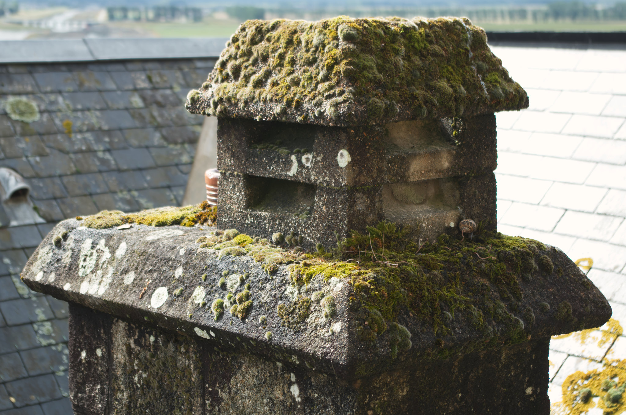 The Rooftops of Mont Saint Michel (viii)