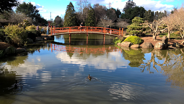 Japanese Garden 20220710 14 47 17 Pro