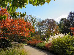 Autumn Garden Path