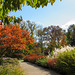 Autumn Garden Path