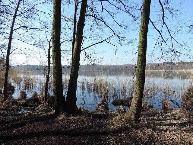 Großer Möggelinsee