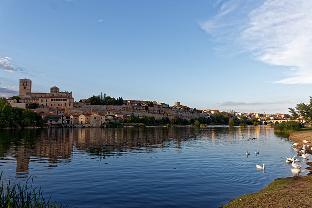 Zamora, Espanha