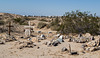 Slab City pet cemetery (#0156)