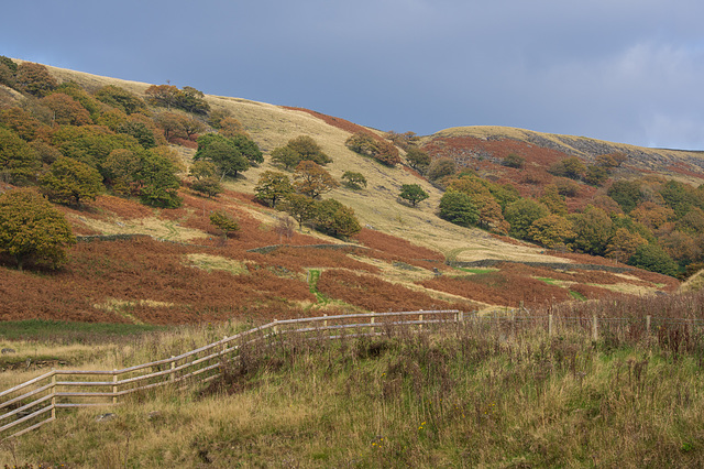 Shittern Clough