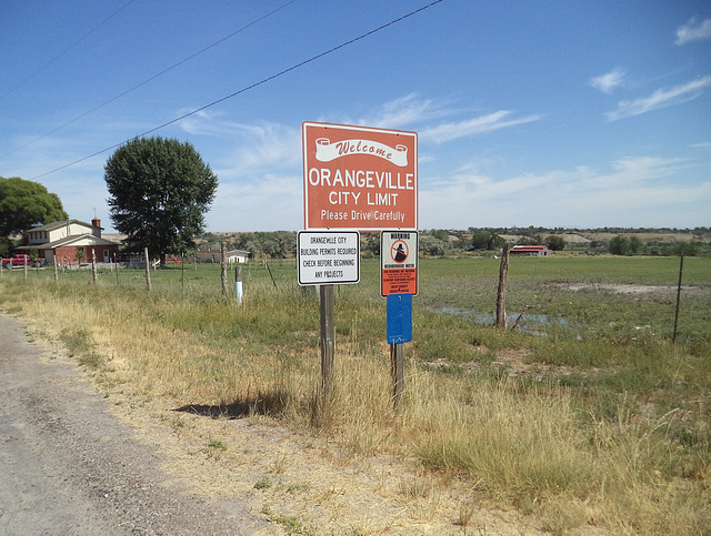 La ville des oranges / Be cautious with oranges crossing