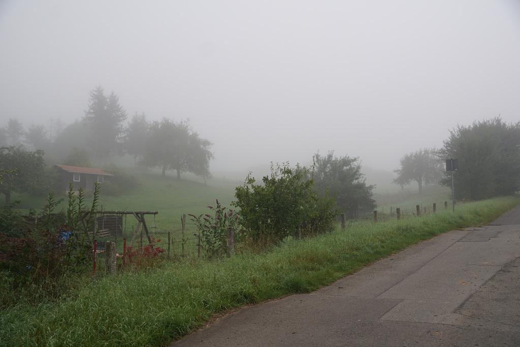 Nebel