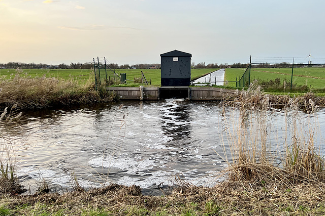 Pumping water out of the polder