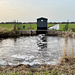 Pumping water out of the polder