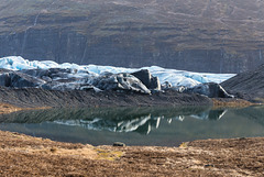Svínafellsjökull