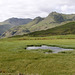 Lang How Tarn and the Langdale Pikes
