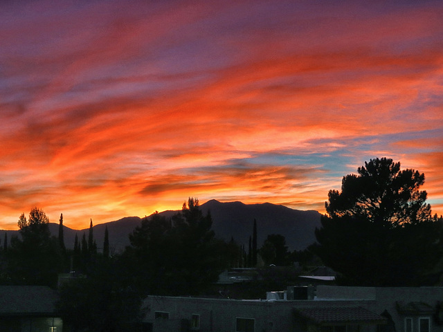 Huachuca Mountains