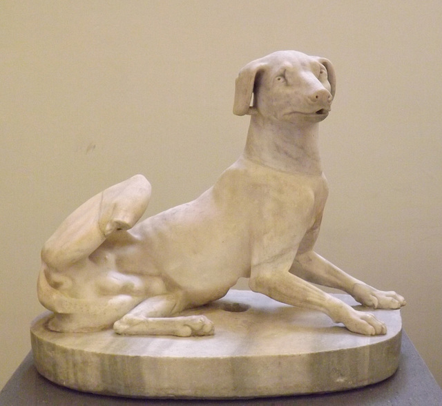 Dog Sculpture in the Naples Archaeological Museum, July 2012