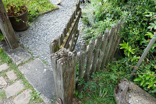 open HFF to the guards of herbs (cloister)