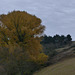 20211111 -21  Lozère (131)