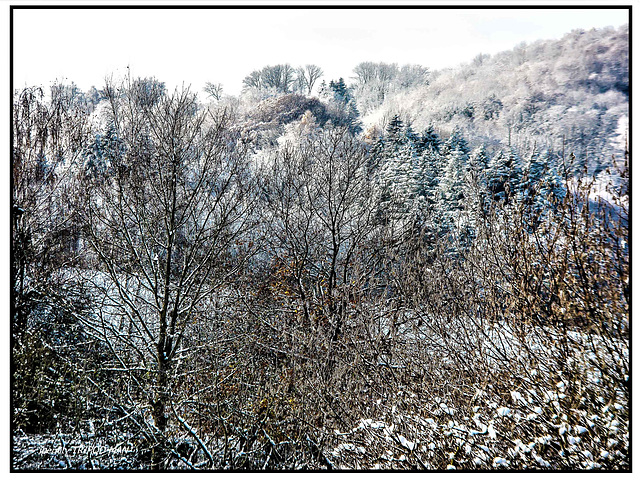 Fensterblick