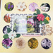 Scrapbooking 2025-2026 Scrapbooking 2025-2026