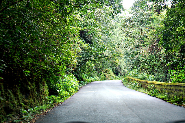 Drive to Kudramukha