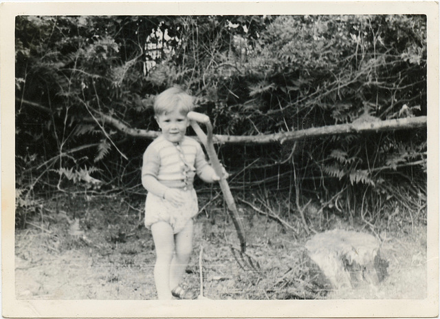 Digging by the Stump