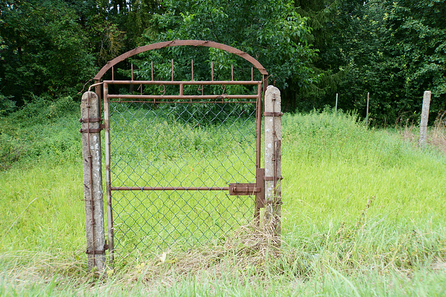 Happy Fence Friday to All of You