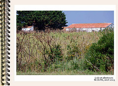 ilere144 ilere144