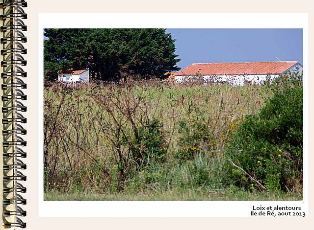 ilere144