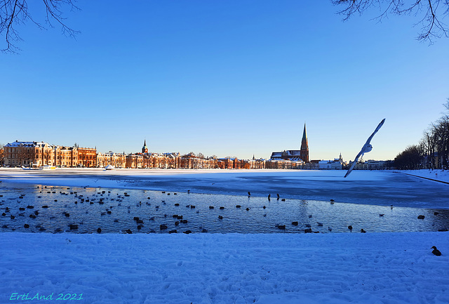 Winterfreuden am Pfaffenteich