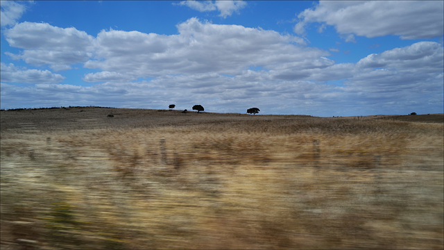 S. Miguel do Pinheiro, driving photographer