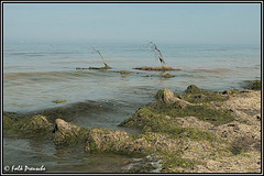 Strand bei Warnkenhagen