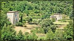 Environs d'Anduze (30) 22 juillet 2010.