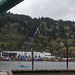 Portland St Johns bridge (#0492)