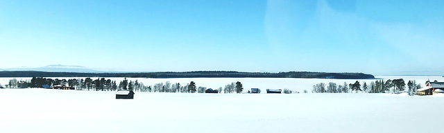 paddocks in the snow, Frösön