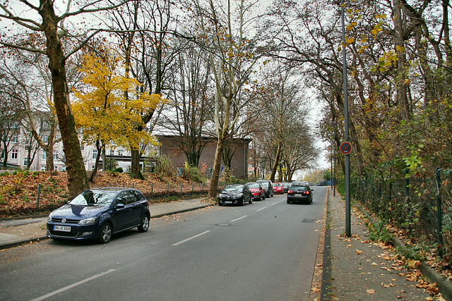 Von-Waldthausen-Straße (Bochum-Werne) / 20.11.2018