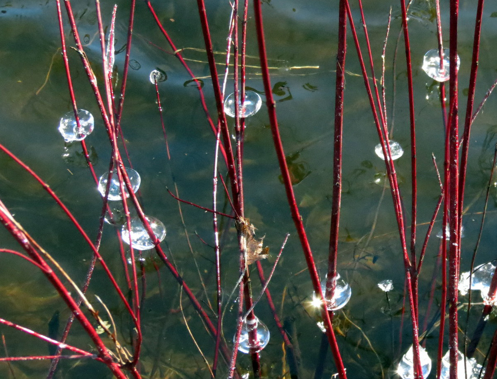 Perfect ice spheres