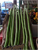 Courges tromba d'albenga